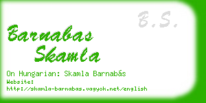 barnabas skamla business card
